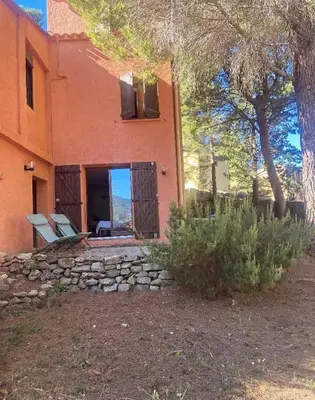 a pine tree and rocks on the side of a road at L'Amandière in Cucugnan