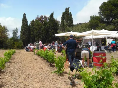 a group of people working in a garden at DOMAINE LE PLA de LIÉRE in Maury