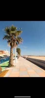 a sidewalk with palm trees on the beach at MOBIL HOME Le Soleil,3CH,6PERS in Port-la-Nouvelle