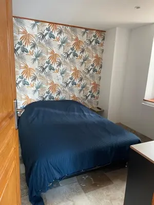 a blue bed in a room with a wall at studio cosy a la ferme in Saint-Julia