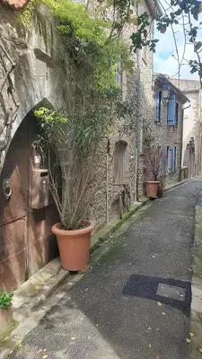 a plant in a pot on the side of a street at La Concha 1 in Conques-sur-Orbiel