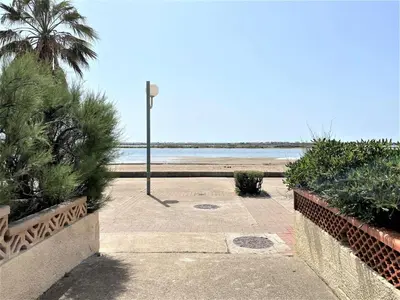 a walkway leading to the beach with a palm tree at Maison front de plage avec terrasse Grazel - GN210-027 in Gruissan