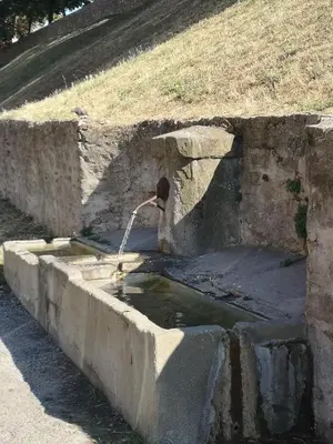 a bird is drinking water from a fountain at Domaine de Gondal, demeure de charme in Palaja