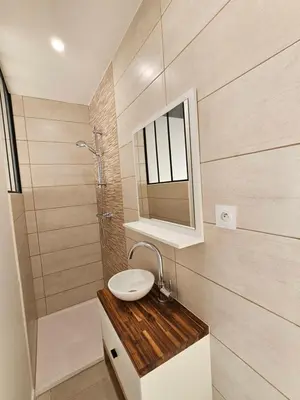 a bathroom with a sink and a mirror and a shower at Evasion balneo in Narbonne