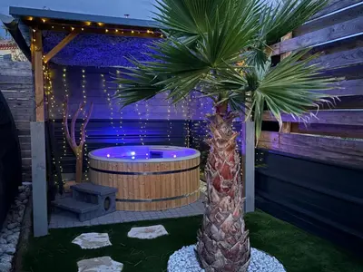 a spa with a palm tree and a hot tub at A l ombre des pods Chardonnay et spa in Saint-Hilaire