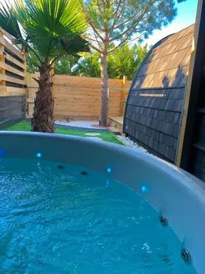 a hot tub in a backyard with a palm tree at A l ombre des pods Chardonnay et spa in Saint-Hilaire