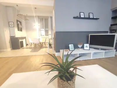 a living room with a tv and a potted plant at Le Chartrand- Centre-ville- Séjour inoubliable! in Carcassonne