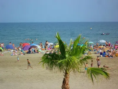 a crowd of people on a beach with a palm tree at Maison T4 110m² avec jardin clos, à 1500m de la plage - FR-1-797-60 in Port-la-Nouvelle