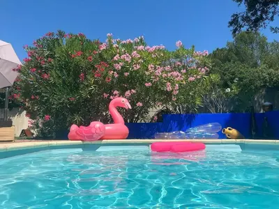 a pink flamingo toy in a swimming pool at Carcassonne Lake & Beach, Pool villa in Carcassonne