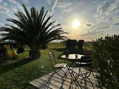 a table and chairs on a patio with a palm tree at Villa T6 d'exception entre Toulouse et Carcassonne , Vue sur les Pyrénées in Trébons-sur-la-Grasse