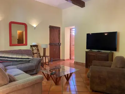 a living room with a couch and a flat screen tv at Maison viticole dans le Sud de la France avec grand piscine in Moussan