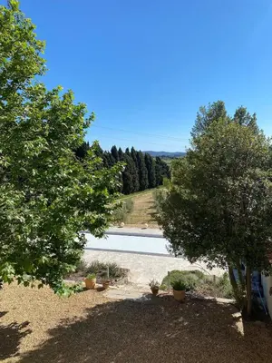 a view of a swimming pool between two trees at Maison viticole dans le Sud de la France avec grand piscine in Moussan