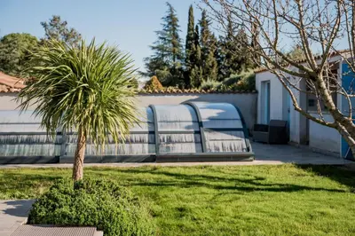 a palm tree in a yard next to a fence at Villa Serenita in Villemoustaussou