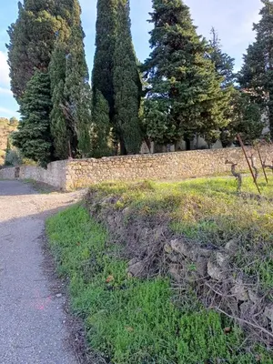 a stone wall next to a road with trees at Red sun and green tea in Saint-Jean-de-Barrou