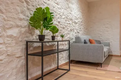 a living room with a chair and a table with a plant at La tavernne de Balaach Clim Wifi Cozy in Carcassonne