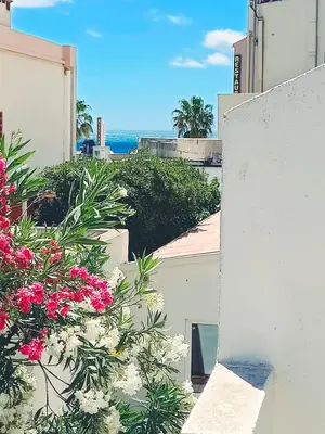 a view from a balcony of a building with flowers at LE LOGIS, T2 au pied de la plage, Climatisation in Port-la-Nouvelle