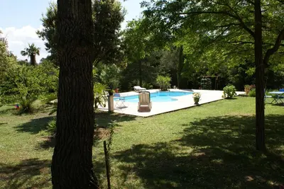 a swimming pool in a yard with trees at Manor Norbert in Ventenac-Cabardès