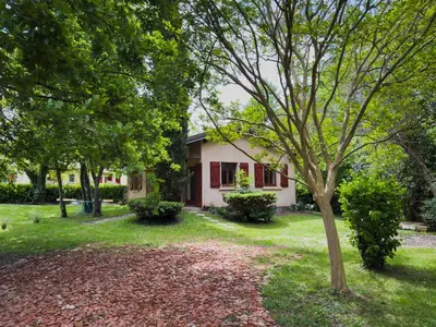 a house with a tree in the yard at La petite maison au grand parc in Rieux-de-Pelleport