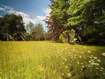 a field of grass with flowers and trees at La petite maison au grand parc in Rieux-de-Pelleport