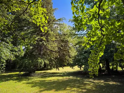 a group of trees in a field with grass at La petite maison au grand parc in Rieux-de-Pelleport