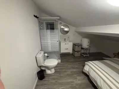 a bedroom with a bed and a toilet and a sink at Petite maison au calme in Pont-de-Larn