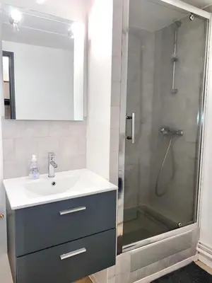 a bathroom with a sink and a shower at Appartement centre-ville in Carcassonne
