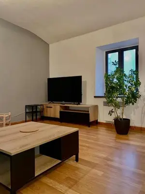 a living room with a flat screen tv and a potted plant at Appartement centre-ville in Carcassonne