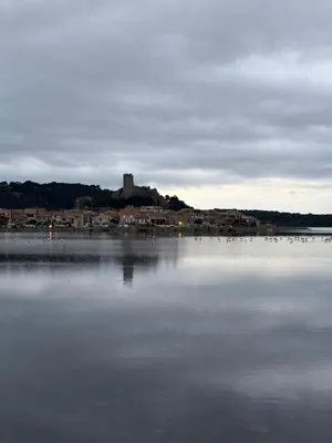 a large body of water with a castle in the background at Studio O Fil du Vent in Gruissan