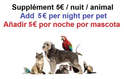 a dog and a parrot on top of a group of cats at Gites des Camparros in Nailloux