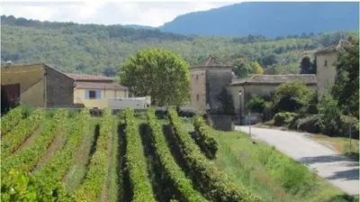 a field of crops in front of a building at La maison du soleil in Villar-Saint-Anselme