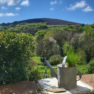 La Maison du chataignier
