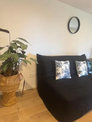 a black couch in a living room with a plant at Appartement au cœur du golf in Pont-de-Larn