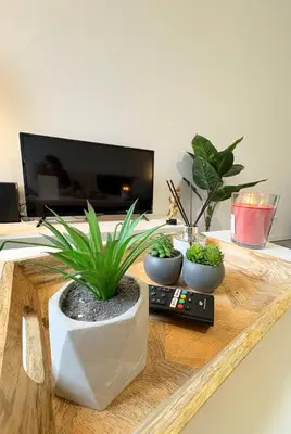 two potted plants sitting on top of a table at Le Faubourg in Pamiers