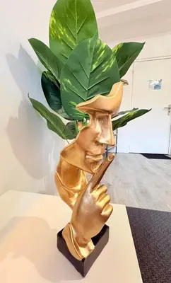 a statue of a man with a plant on his head at Le Faubourg in Pamiers