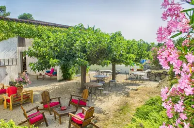 a patio with tables and chairs and trees and flowers at le Relais de la Cavayere in Carcassonne