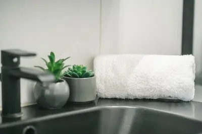 a kitchen sink with two potted plants and a towel at Magnifique T3-terrasse-parking-Centre ville-AD in Carcassonne