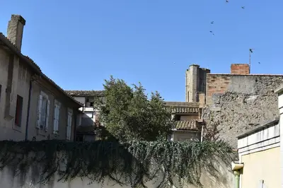a building with ivy growing on the side of it at L'Opaline in Carcassonne