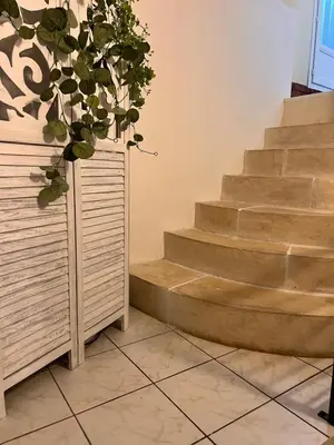 a set of stairs with a plant next to it at Charmante Maison de Village avec Terrasse in Olonzac