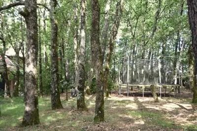 a park bench in the middle of a forest at Aux portes du Sidobre in Burlats