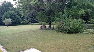 a statue sitting in a field next to a tree at La maison au bout de l'allée in Carbes