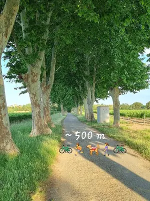 a group of children riding bikes down a road at Le charme à la française - Appartement 4 pers in La Redorte