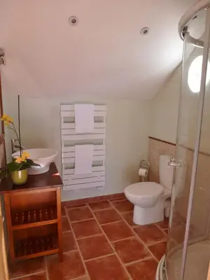 a bathroom with a toilet and a sink at Charming cottage style property nestled in stunning French countryside near Carcassonne and Mirepoix in Hounoux