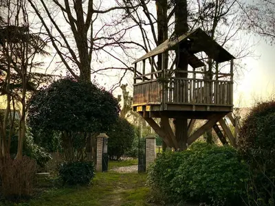a dog in a tree house in a tree at 19Th Century Mansion With Pool Near Castres in Payrin-Augmontel