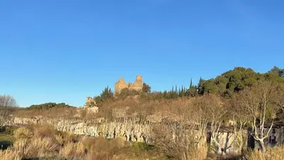 a castle on top of a hill with trees at L'abeille in Durban-Corbières