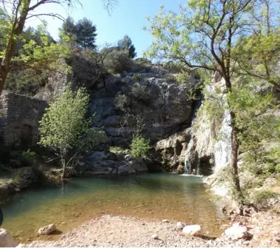 a pool of emerald green water with trees and rocks at L'abeille in Durban-Corbières