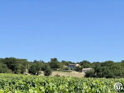 a field of vines with a house in the background at Peyret in Cépie