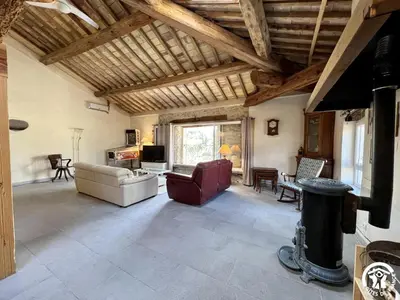 a large living room with a wooden ceiling at La ruche in Durban-Corbières