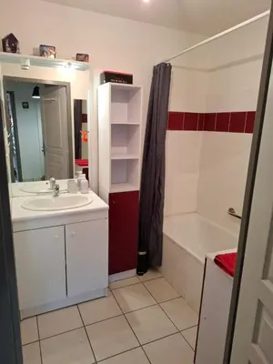 a bathroom with a sink and a shower and a tub at Joli Appt La Pérouse, 2 Chbres, Centre ville, Jardin in Castres