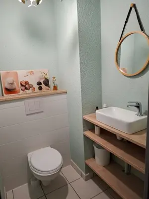 a bathroom with a toilet and a sink and a mirror at Joli Appt La Pérouse, 2 Chbres, Centre ville, Jardin in Castres