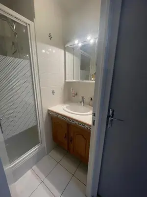 a bathroom with a sink and a shower at Évasion Méditerranéenne in Gruissan